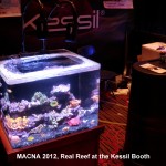 Kessil