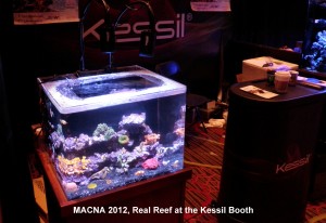 Kessil