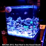 Kessil