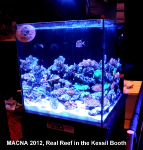 Kessil