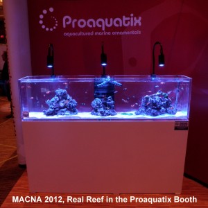 Proaquatix